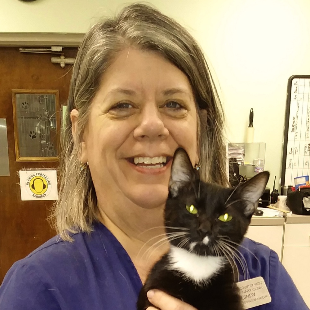 Meet your Posher, Cindy